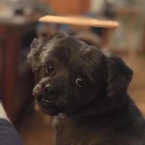 Meet your Posher, Debbie